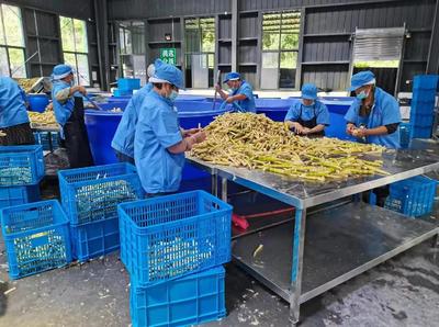 雅安市雨城区 严守食用林产品安全防线，推动食用农产品研发创新