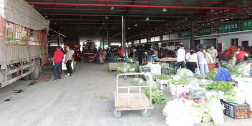 当好广元人民的菜篮子，川陕甘农产品交易中心 从集散枢纽到研发引擎的蝶变