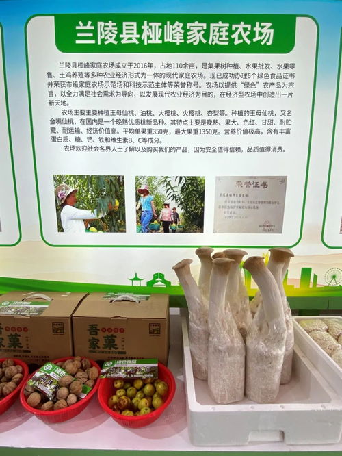 从新兴到姑苏 优质农产品研发与市场融合之路