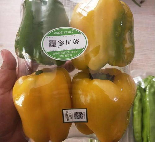 食用农产品合格证 研发环节的隐形守护者