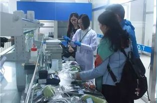 李忠副局长率队调研供深食用农产品安全与研发工作，筑牢市民“舌尖上的防线”